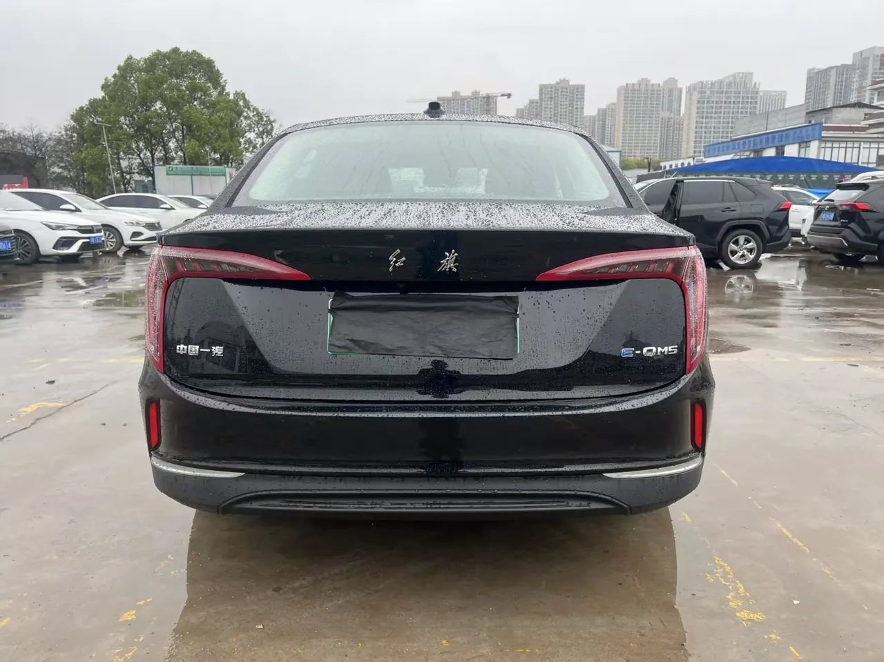 HongQi 2022 E-QM 5 431km Charging Enjoy Edition Automatic Gear 9