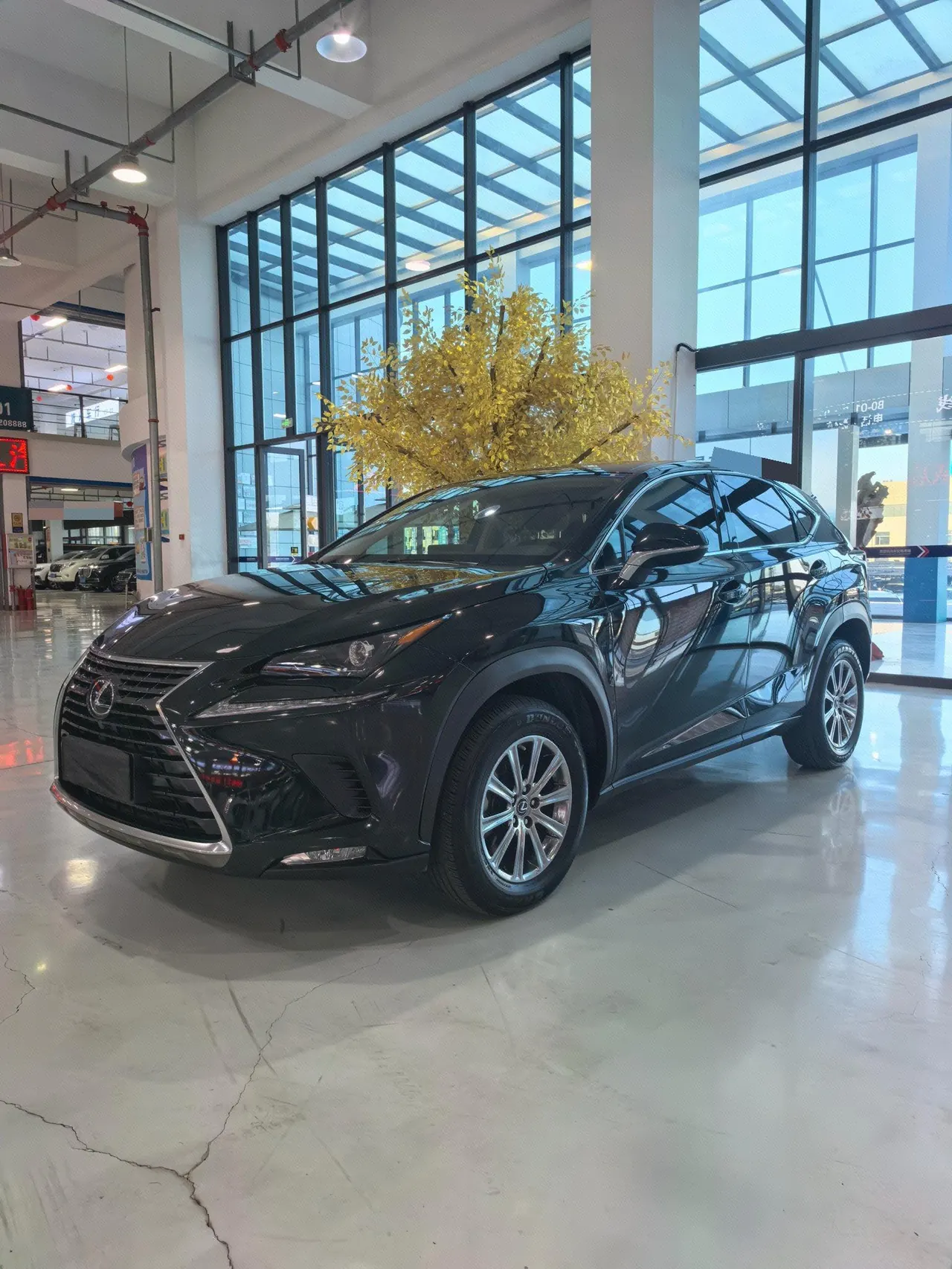 Lexus NX (Imported) 2020 NX200 2.0 Stepless Automatic Gear - View 1