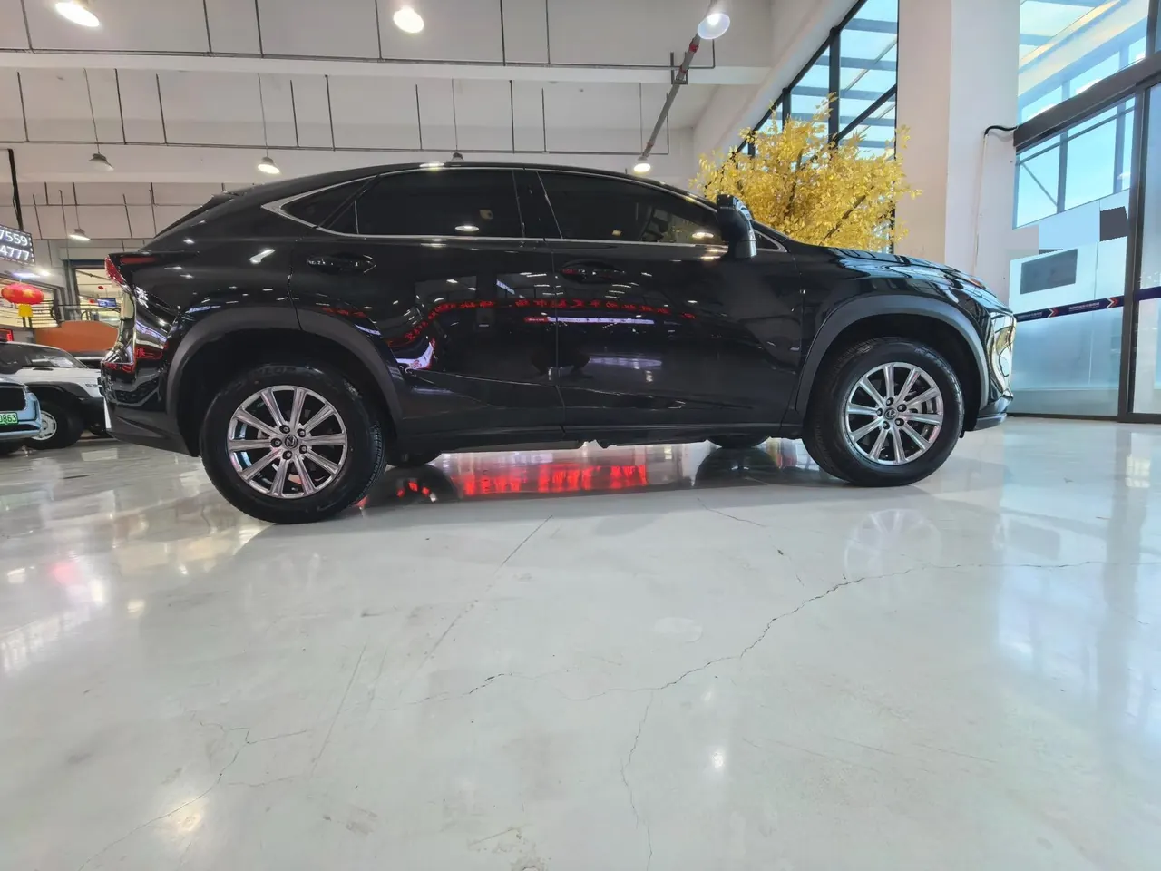 Lexus NX (Imported) 2020 NX200 2.0 Stepless Automatic Gear 15