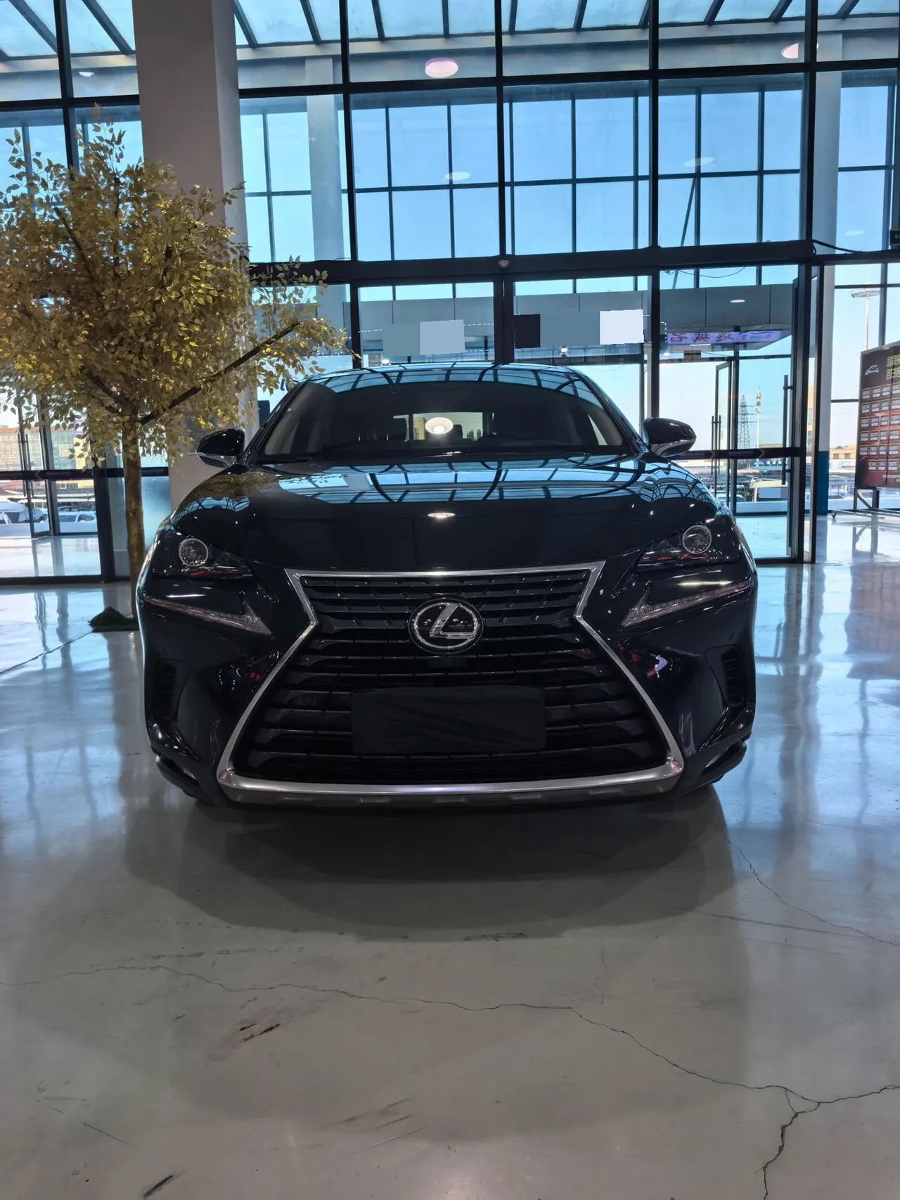Lexus NX (Imported) 2020 NX200 2.0 Stepless Automatic Gear 16