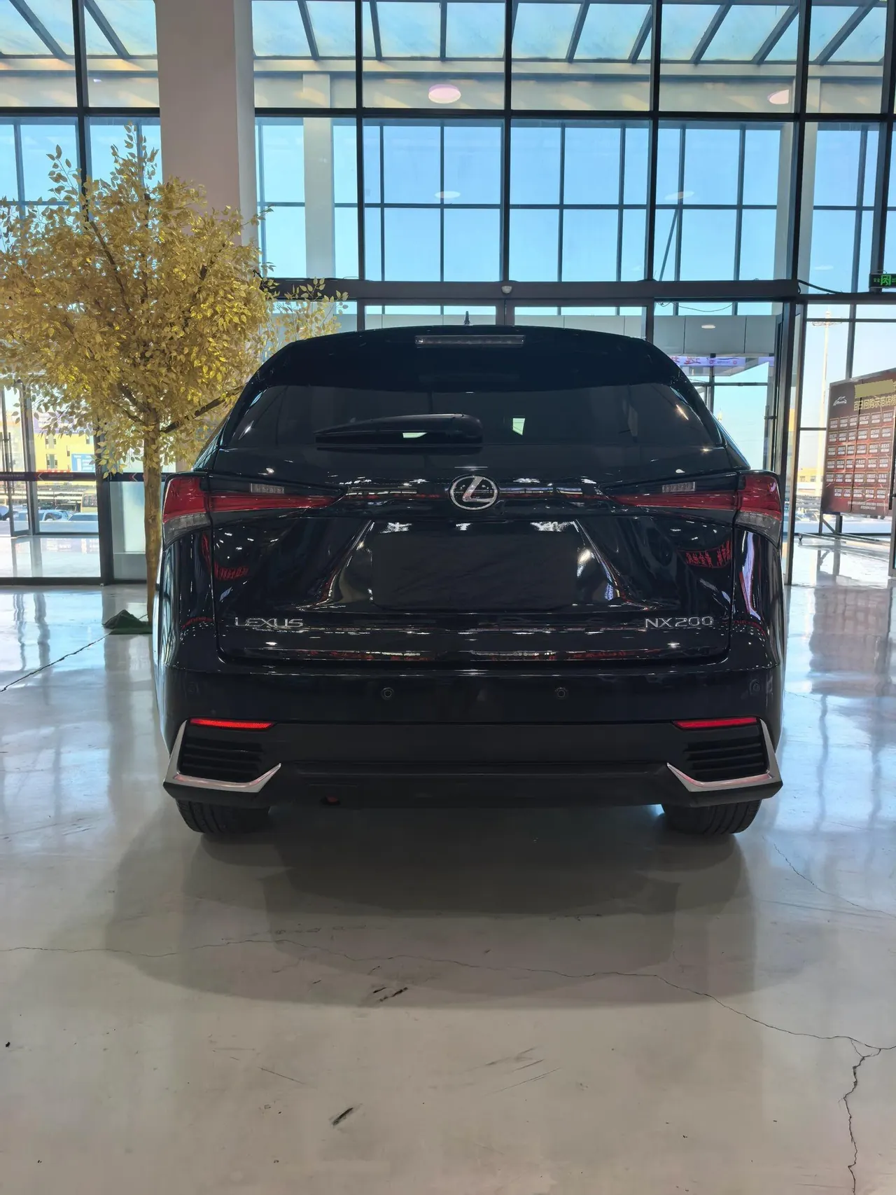 Lexus NX (Imported) 2020 NX200 2.0 Stepless Automatic Gear 18