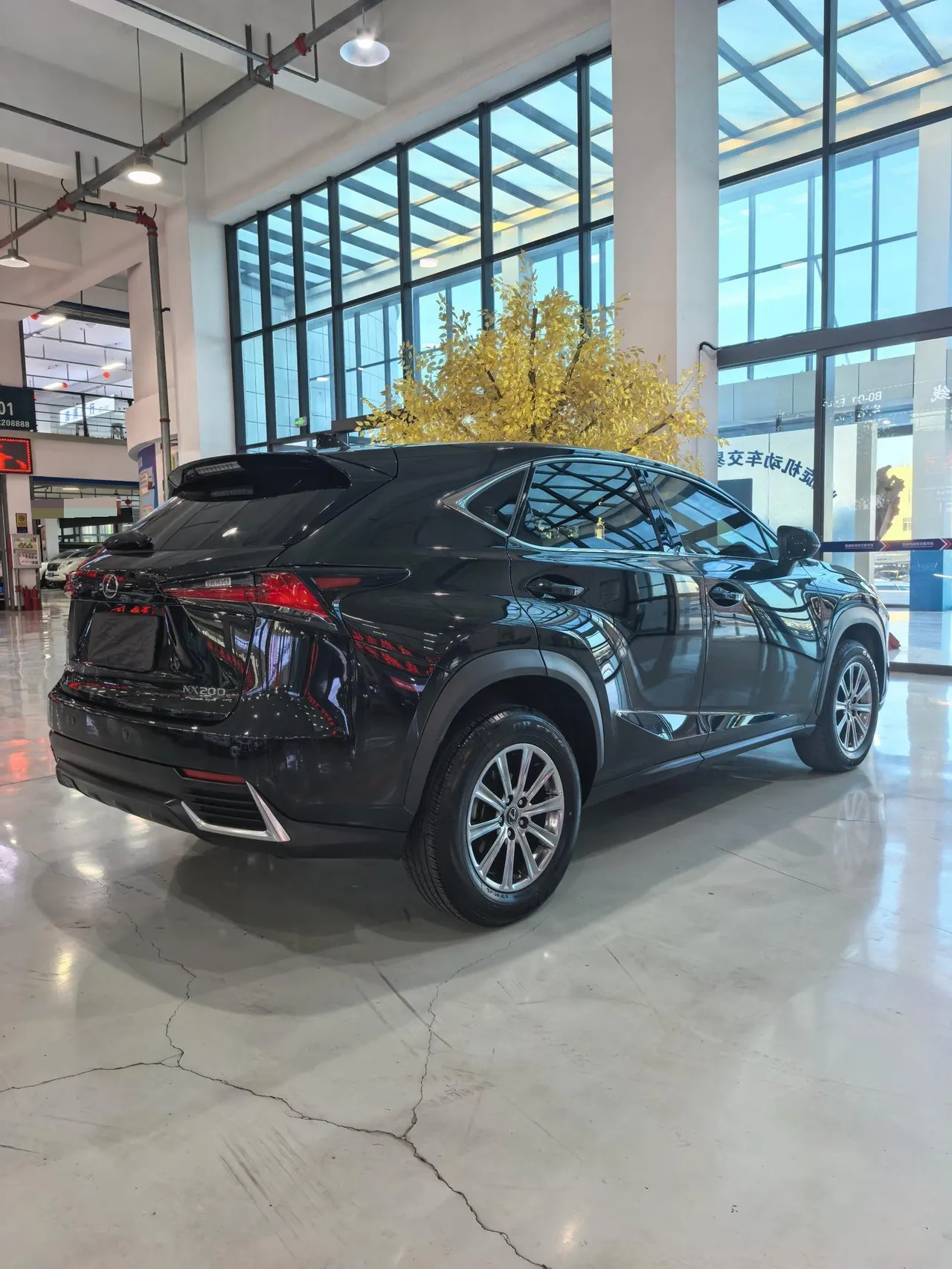 Lexus NX (Imported) 2020 NX200 2.0 Stepless Automatic Gear 19