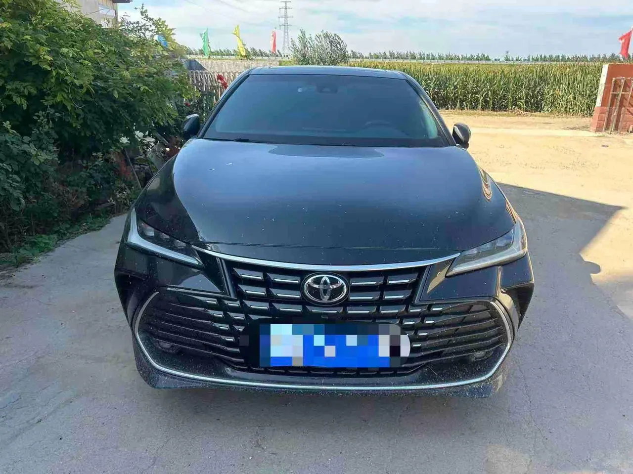 Toyota 2023 Asian Dragon 2.0 Stepless Edition Automatic Gear 4