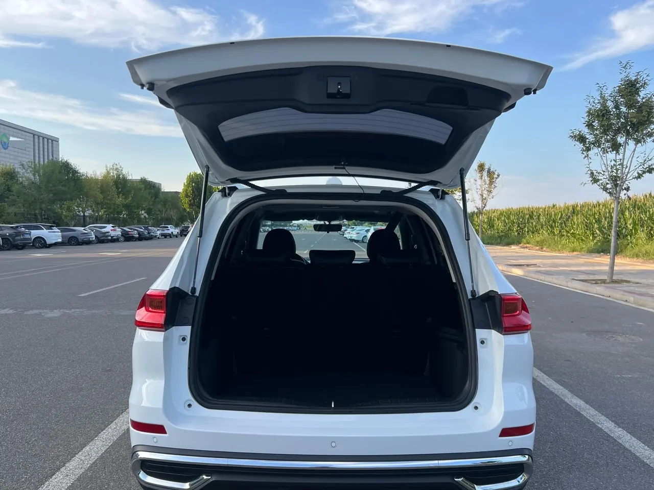 Haval 2023 M6 PLUS 1.5T Luxury Smart Joint Automatic Gear 5