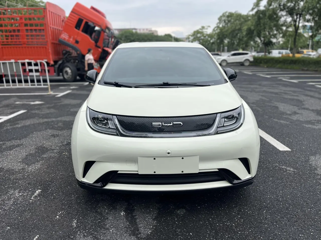 BYD 2023 Dolphins 420km Free Edition Automatic 4