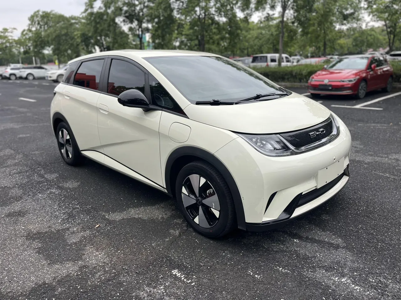BYD 2023 Dolphins 420km Free Edition Automatic 5