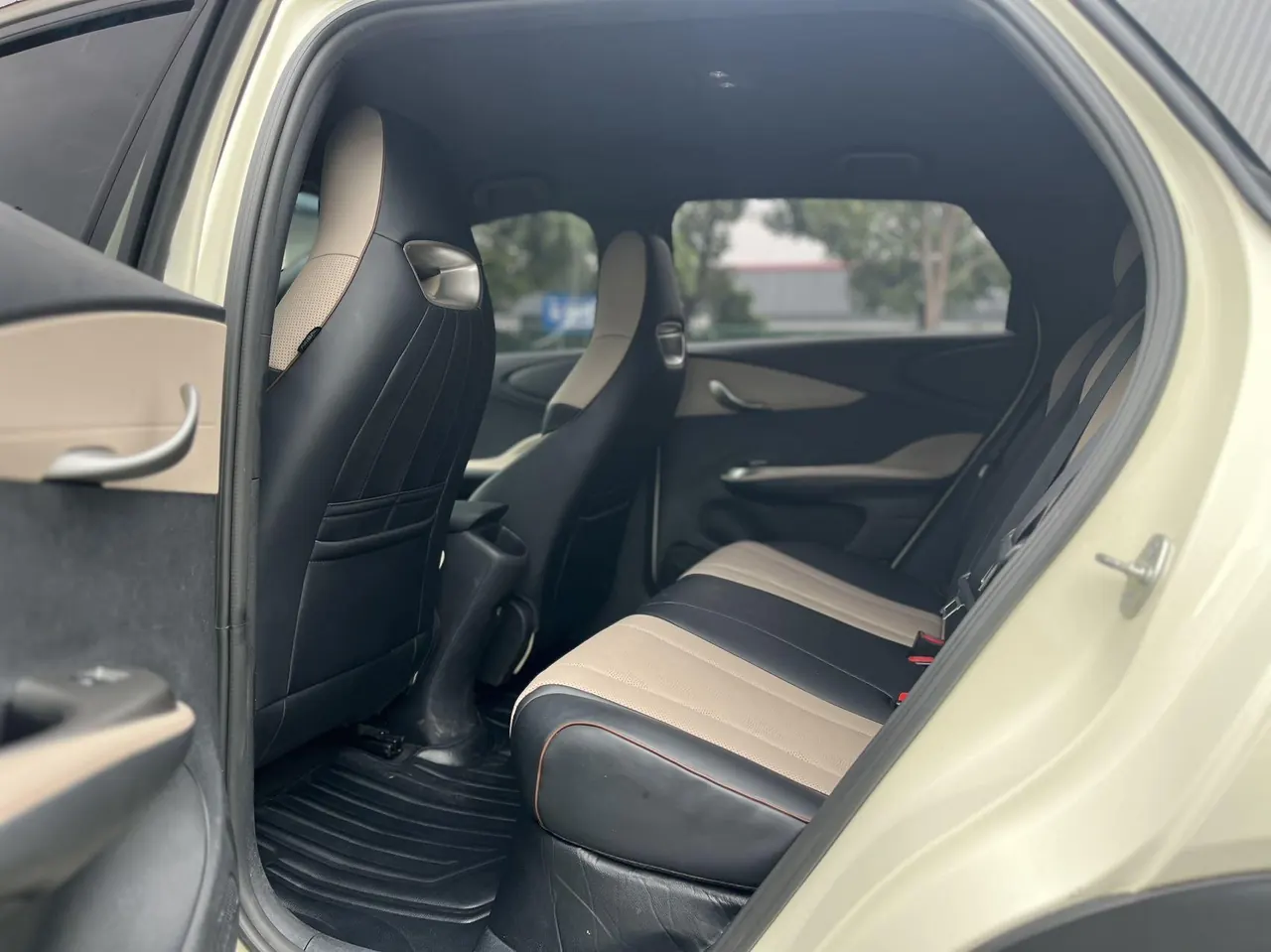 BYD 2023 Dolphins 420km Free Edition Automatic 6