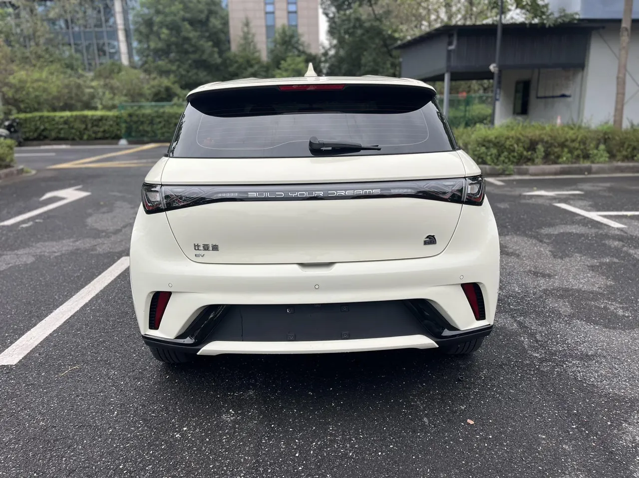 BYD 2023 Dolphins 420km Free Edition Automatic 8