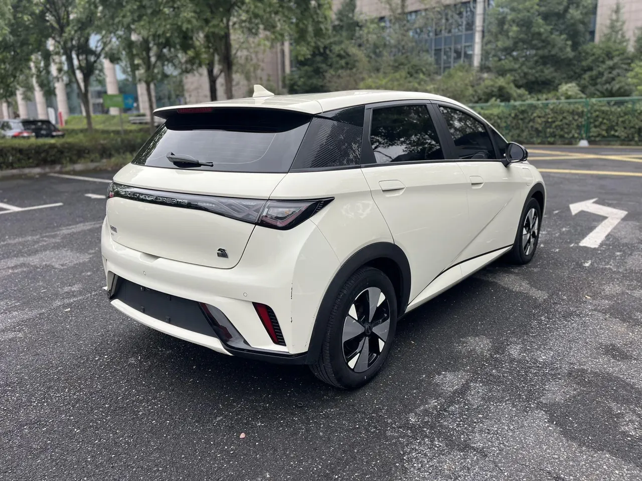 BYD 2023 Dolphins 420km Free Edition Automatic 9