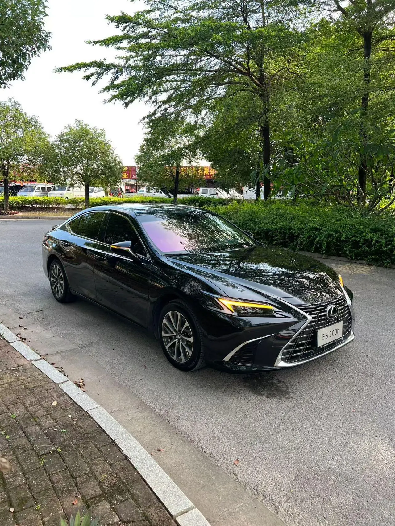 Lexus ES (Imported) 2025 ES300h 2.5 Stepless Premium Edition Automatic Gear 2