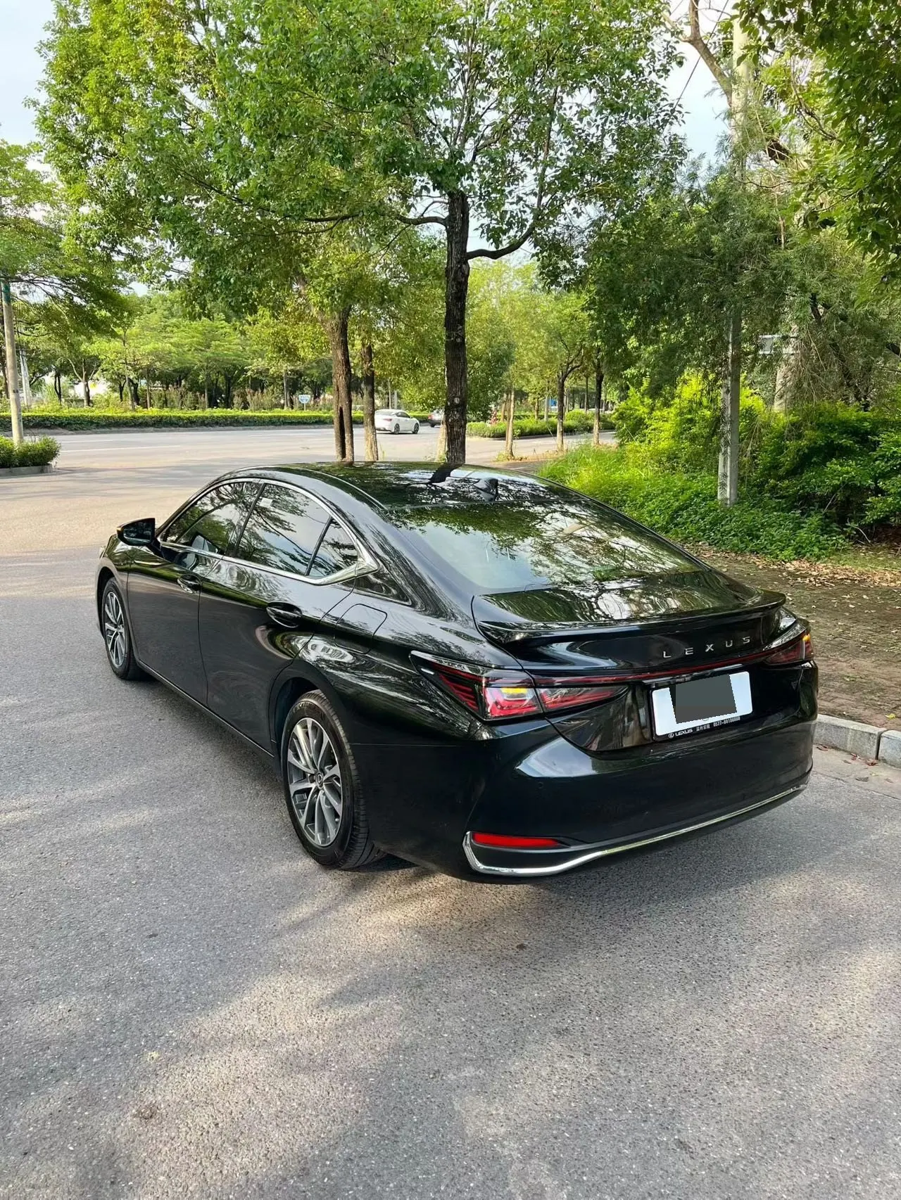 Lexus ES (Imported) 2025 ES300h 2.5 Stepless Premium Edition Automatic Gear 5