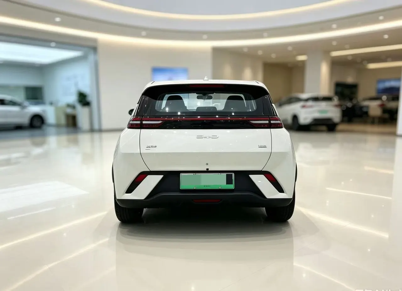 BYD 2025 seagulls 305km free version automatic gear 5