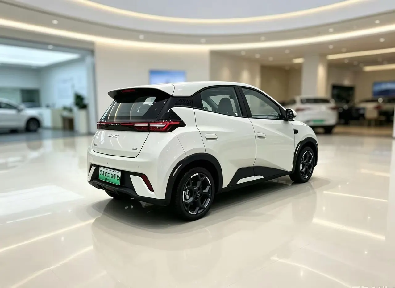BYD 2025 seagulls 305km free version automatic gear 6