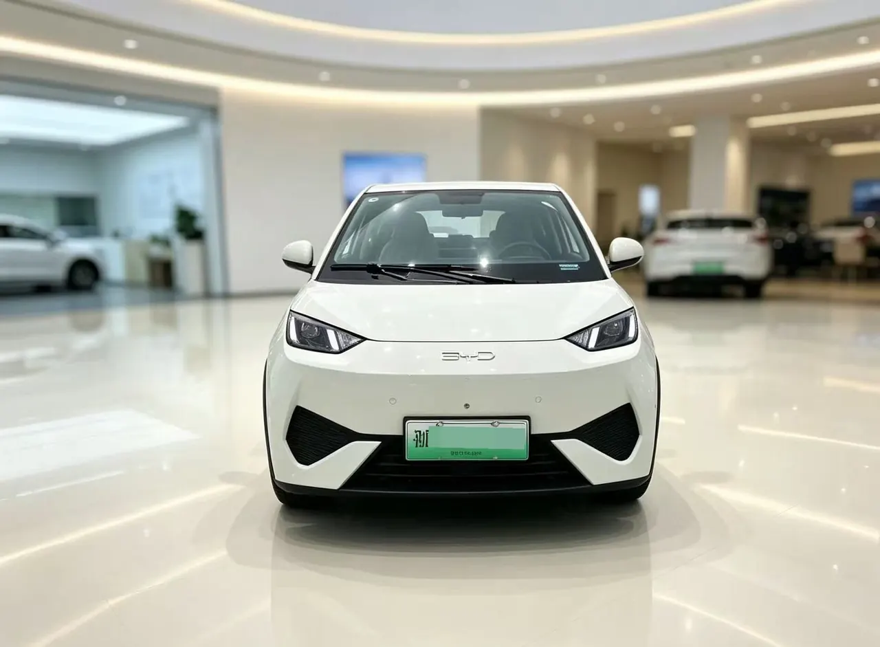 BYD 2025 seagulls 305km free version automatic gear 7
