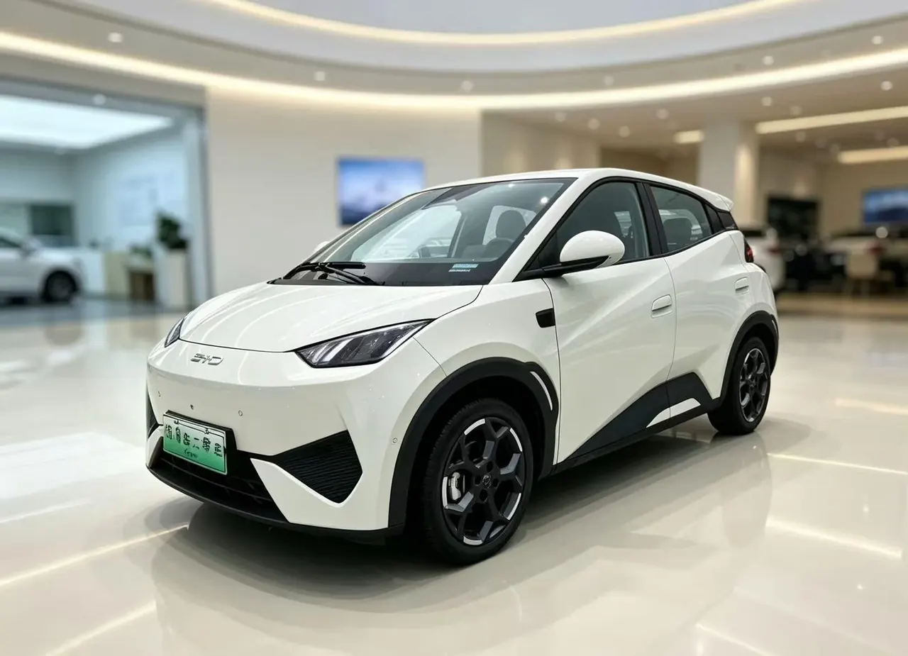 BYD 2025 seagulls 305km free version automatic gear 8