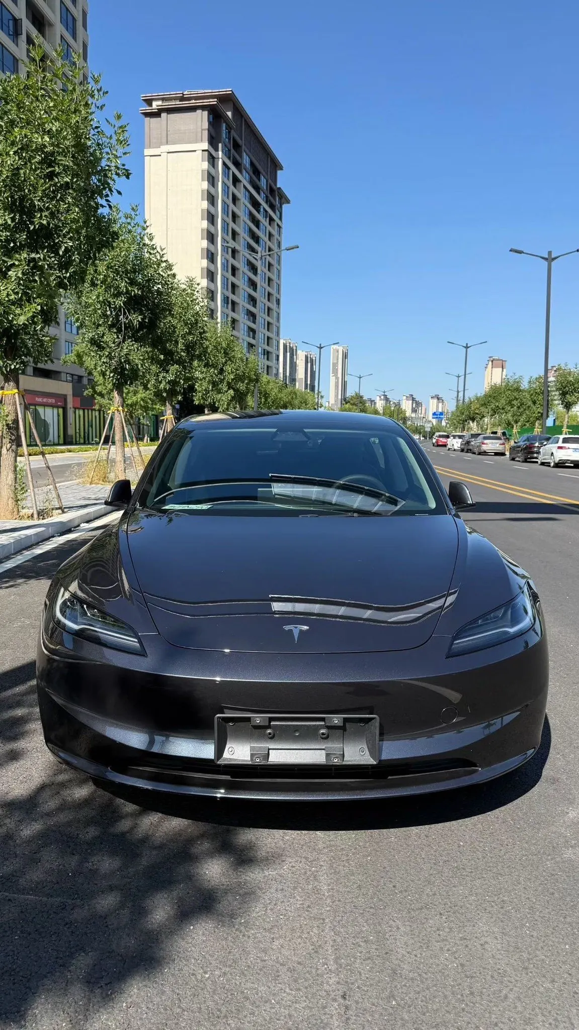 Tesla 2023 Model 3 Rejuvenation Edition Rear Wheel Drive Automatic Transmission 2
