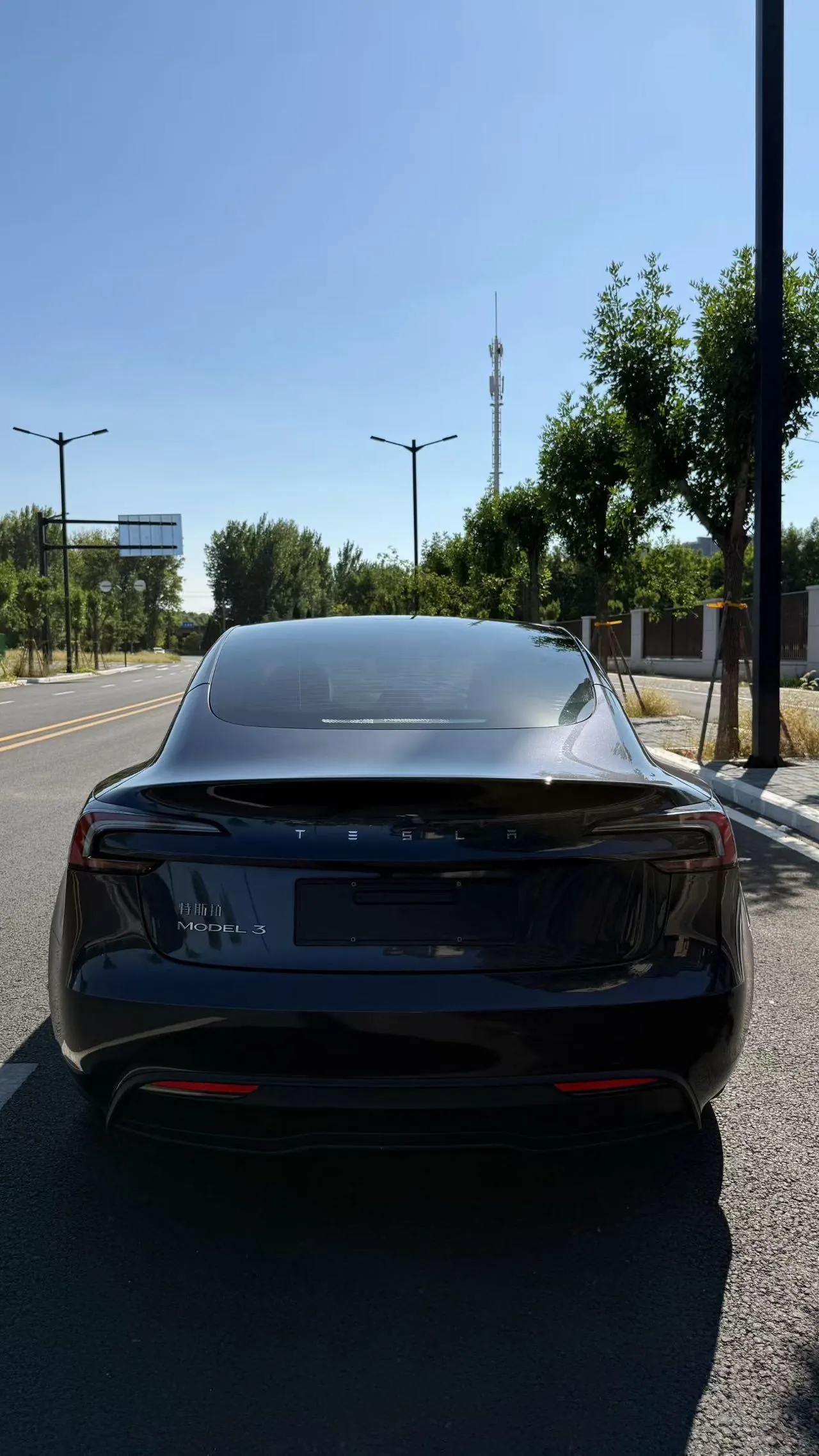 Tesla 2023 Model 3 Rejuvenation Edition Rear Wheel Drive Automatic Transmission 5