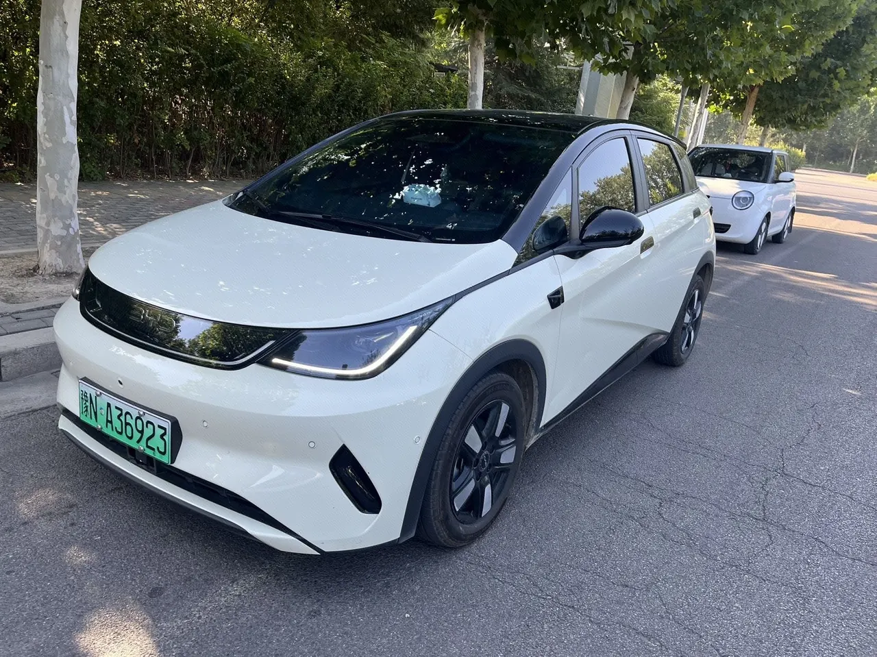 Open image lightbox: BYD 2025 Dolphin Smart Driving 410km Fashion Automatic Gear