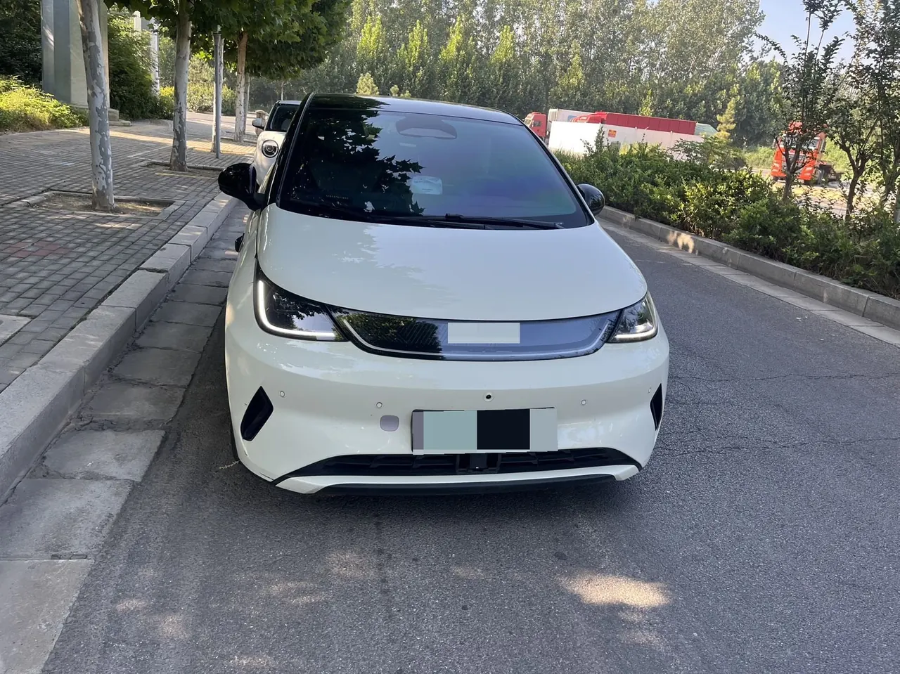 BYD 2025 Dolphin Smart Driving 410km Fashion Automatic Gear 2