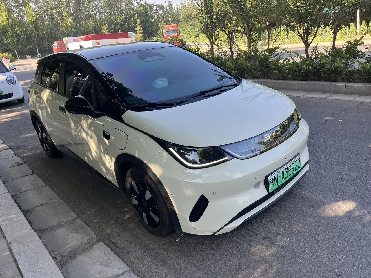 BYD 2025 Dolphin Smart Driving 410km Fashion Automatic Gear 3