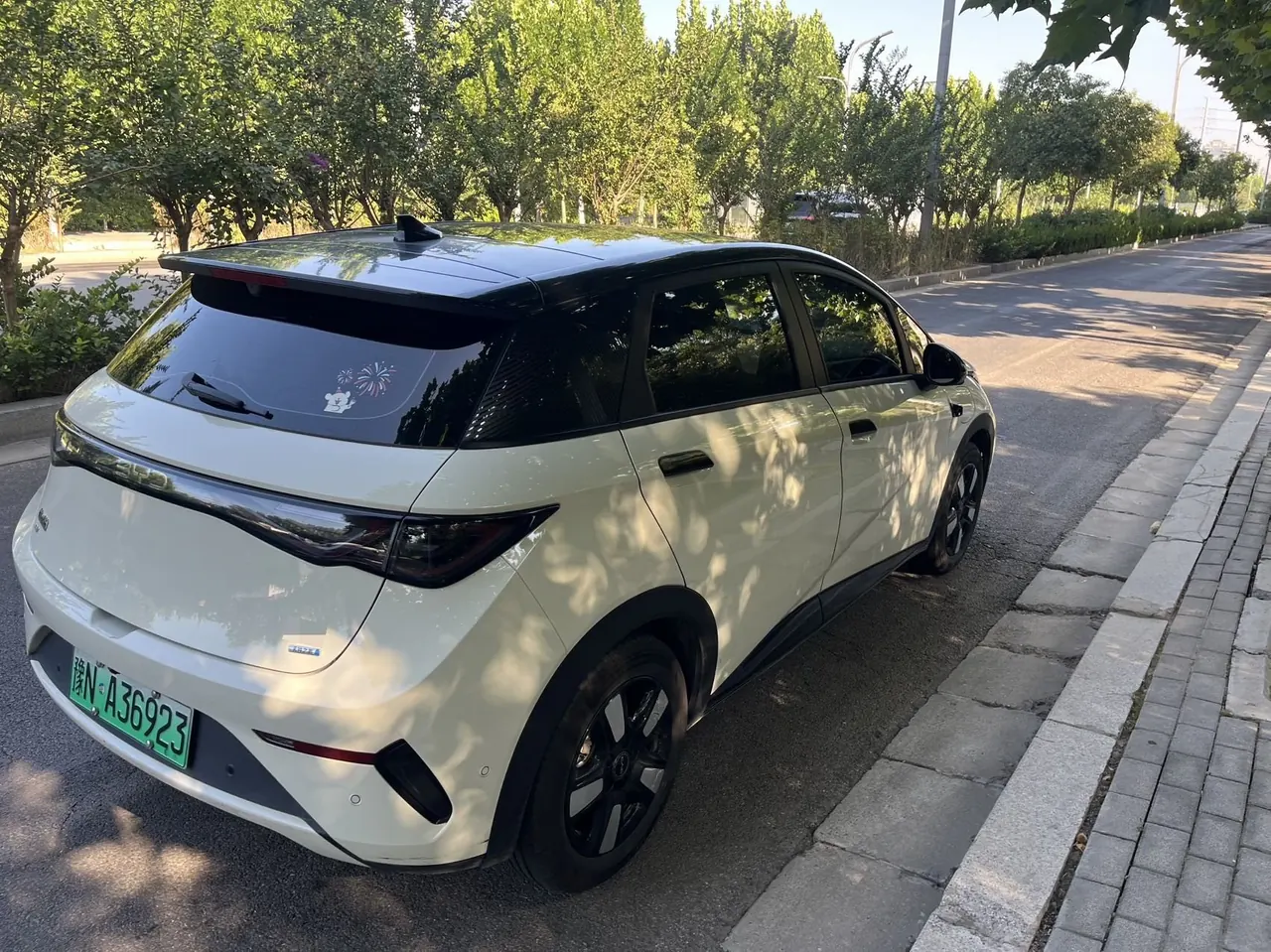 BYD 2025 Dolphin Smart Driving 410km Fashion Automatic Gear 4