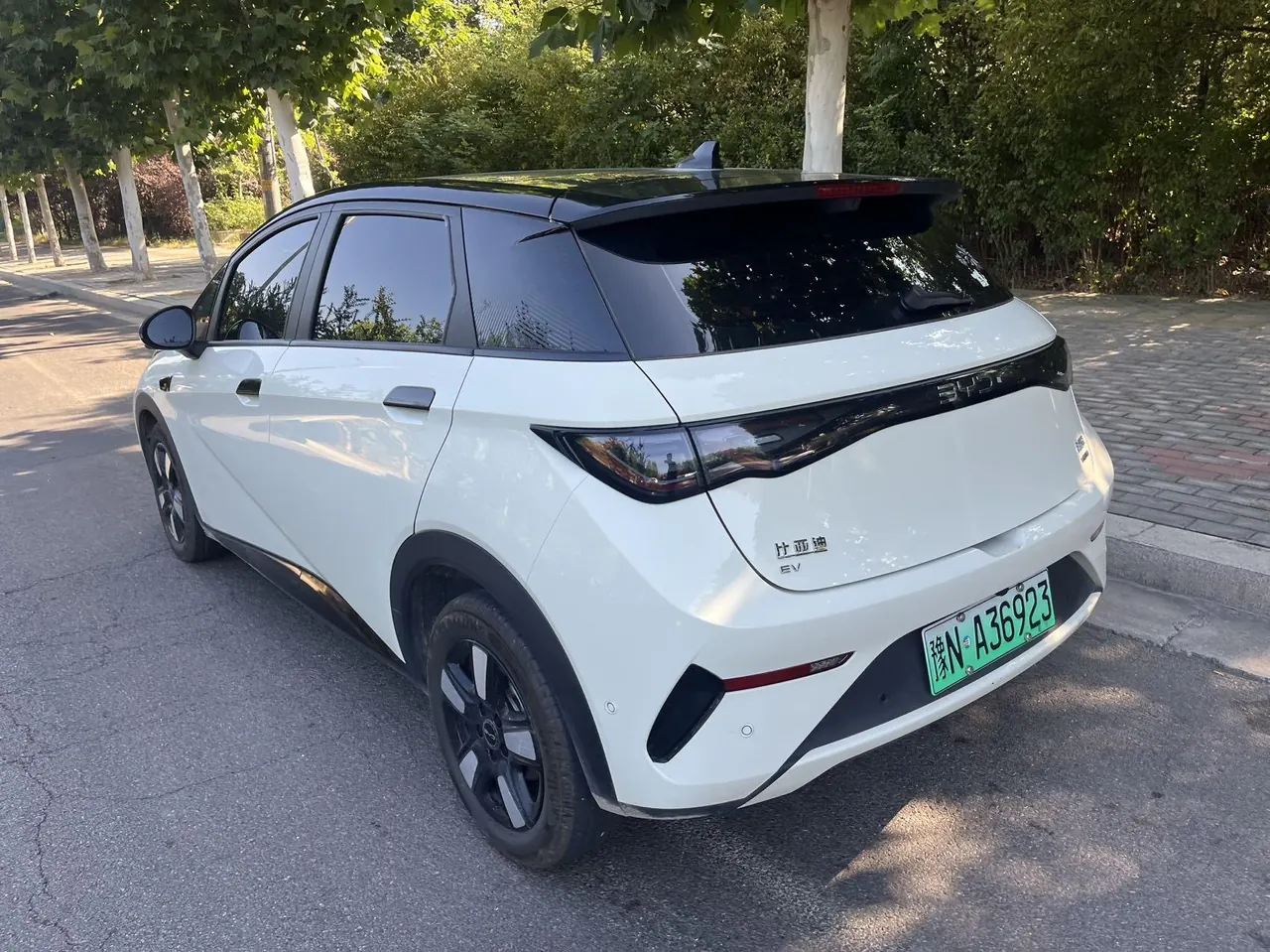 BYD 2025 Dolphin Smart Driving 410km Fashion Automatic Gear 5