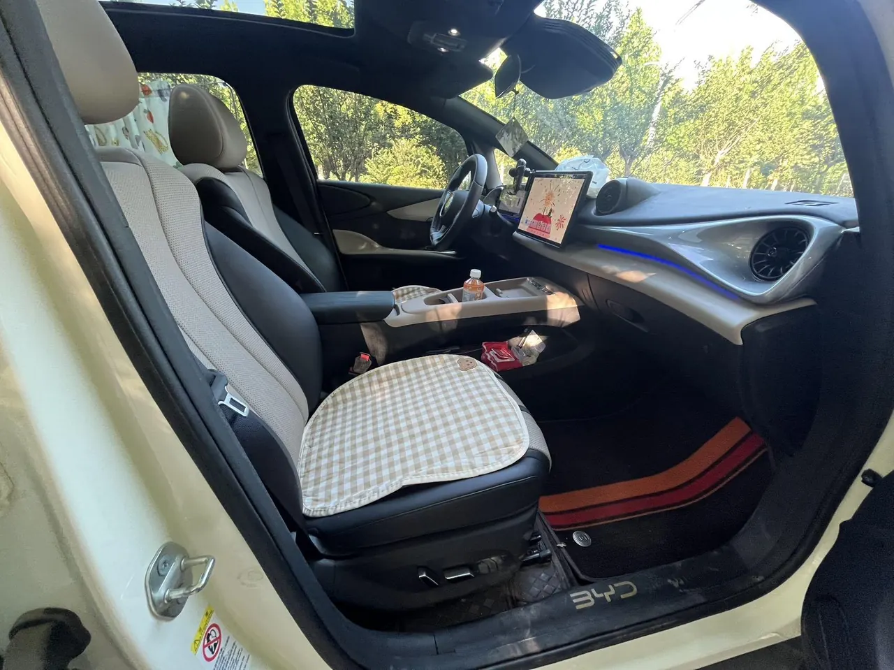 BYD 2025 Dolphin Smart Driving 410km Fashion Automatic Gear 8