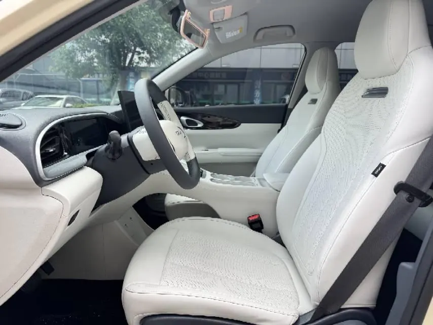 Geely 2024 Star Wish 310km Dream Edition Automatic Gear 4