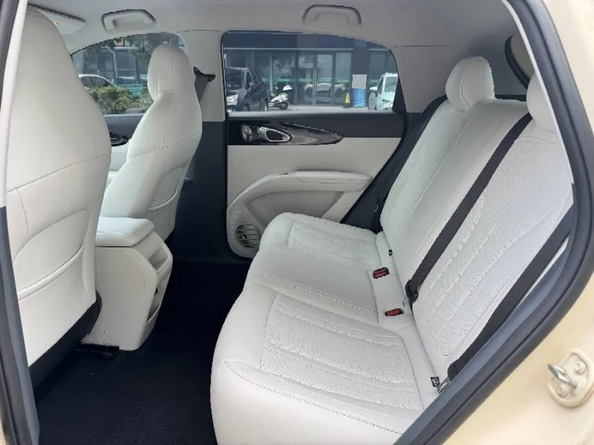 Geely 2024 Star Wish 310km Dream Edition Automatic Gear 5
