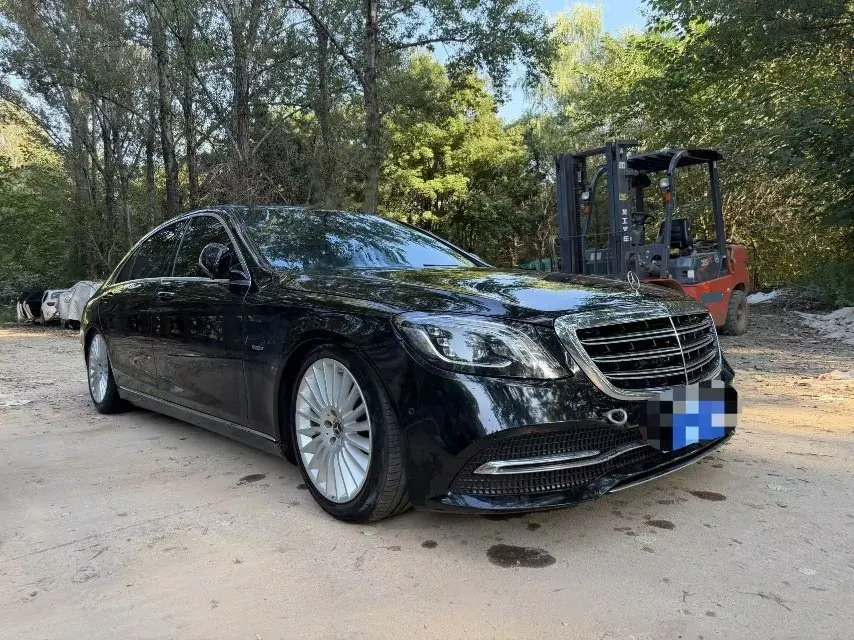 Mercedes Benz S-Class (Imported) 2020 S 350 L 48V 3.0T Exclusive Zhen Tibetan Edition Automatic Gear 2