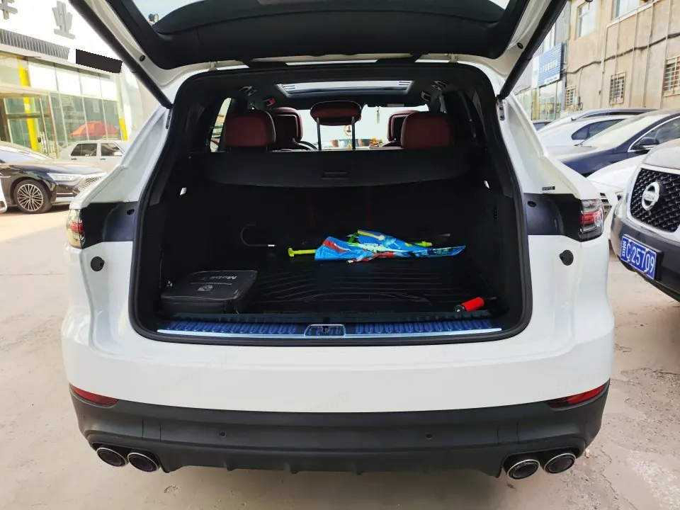 Porsche Cayenne New Energy (Imported) 2020 Cayenne Oil and Electric Hybrid 2.0T Automatic Gear 7