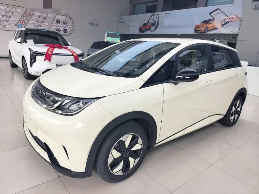 BYD 2025 Dolphins 420km Free Edition Automatic - View 1