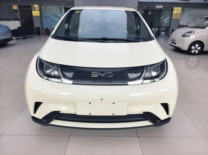 BYD 2025 Dolphins 420km Free Edition Automatic 2