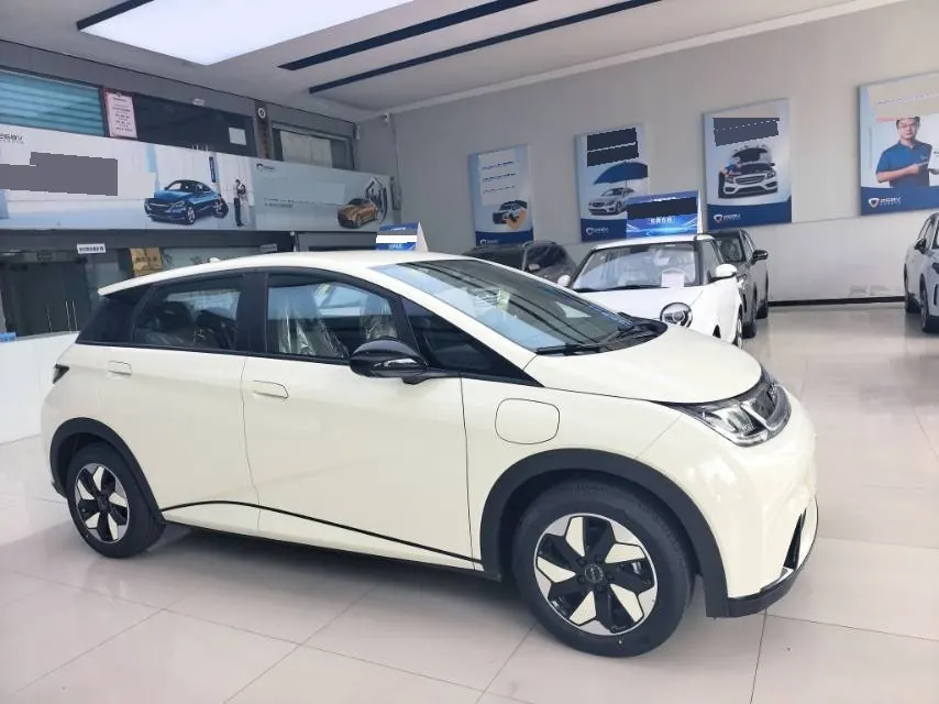 BYD 2025 Dolphins 420km Free Edition Automatic 3