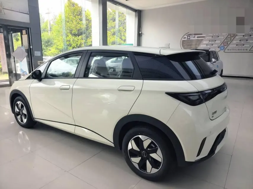 BYD 2025 Dolphins 420km Free Edition Automatic 7