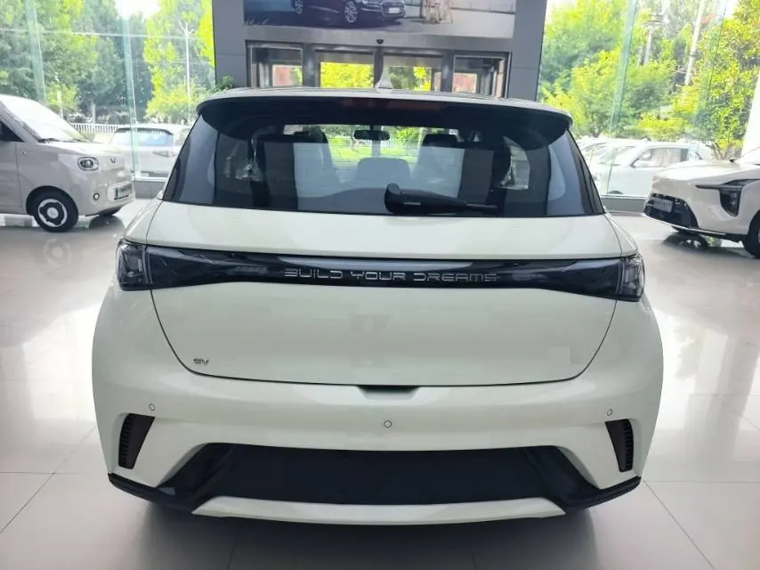 BYD 2025 Dolphins 420km Free Edition Automatic 8