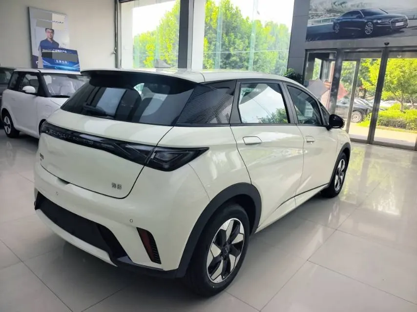 BYD 2025 Dolphins 420km Free Edition Automatic 9