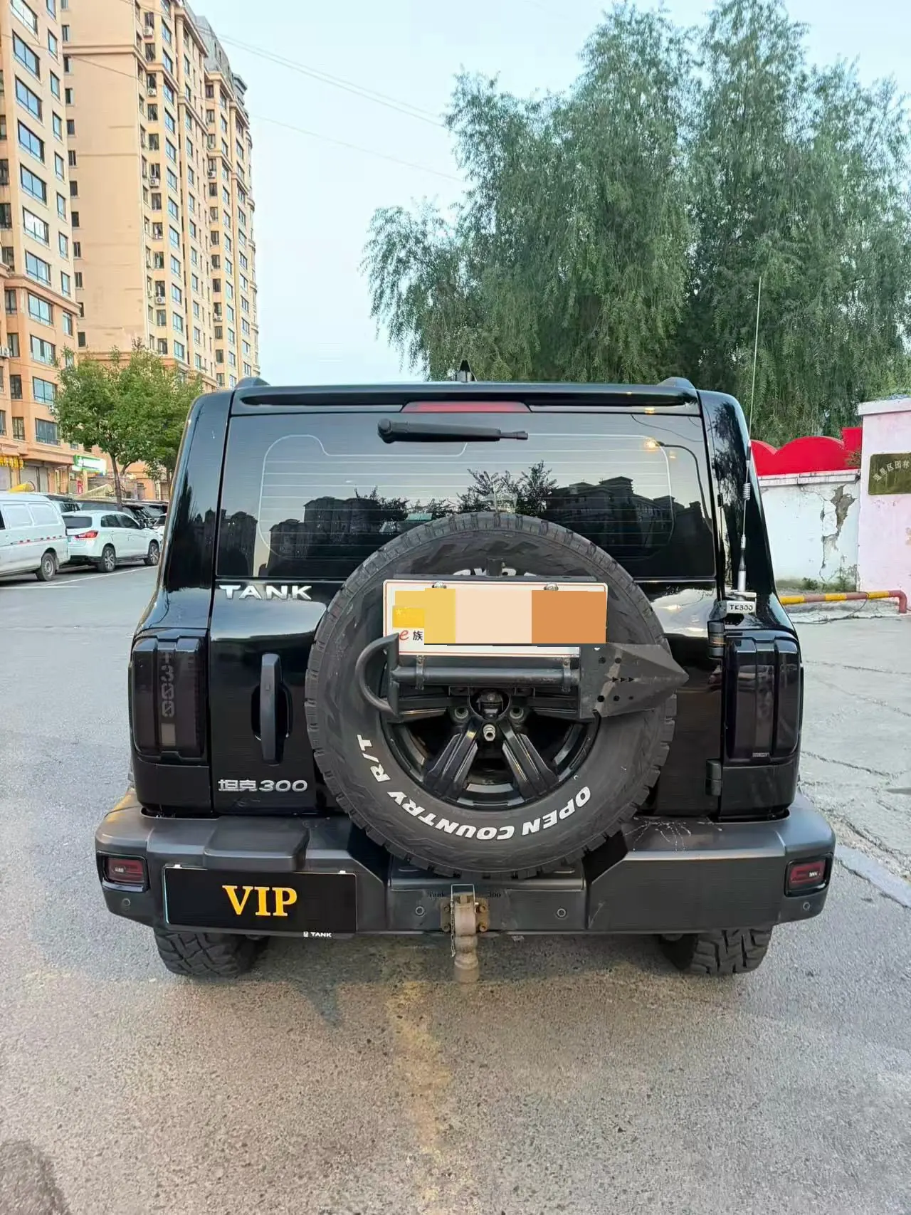 Tank 2021 Tank 300 2.0T Off-road Conqueror Automatic 5