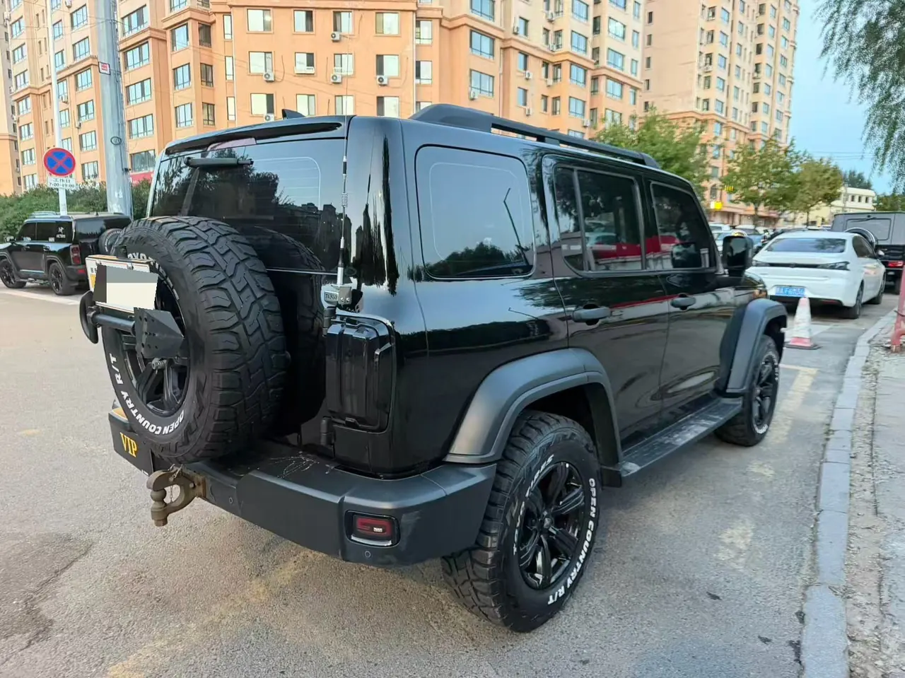 Tank 2021 Tank 300 2.0T Off-road Conqueror Automatic 6