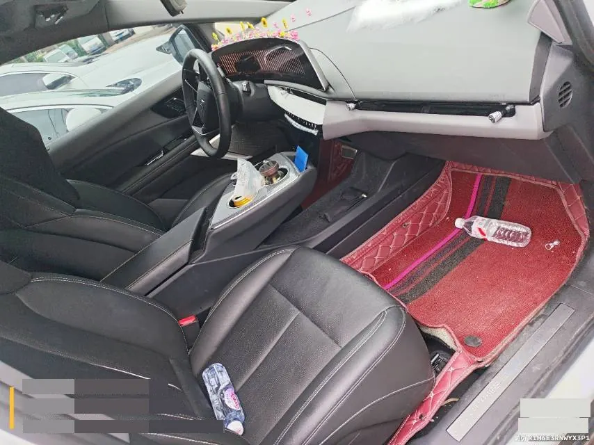 Cadillac 2024 IQ (Ao Ge) Standard Endurance Edition Automatic Gear 5