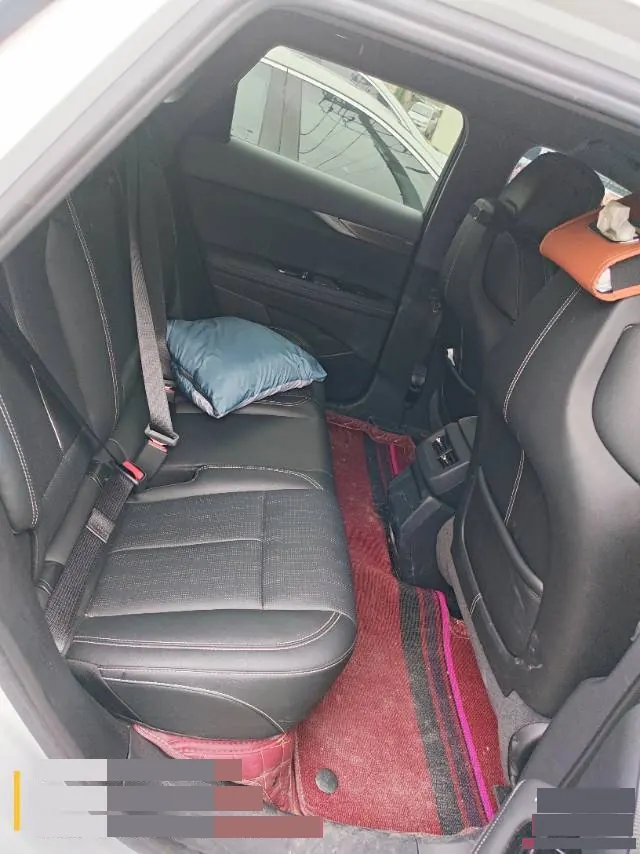 Cadillac 2024 IQ (Ao Ge) Standard Endurance Edition Automatic Gear 6
