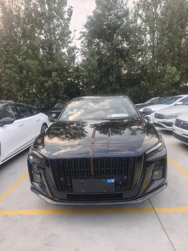 HongQi 2025 H5 1.5T Xuan Ying Edition Automatic Gear 2