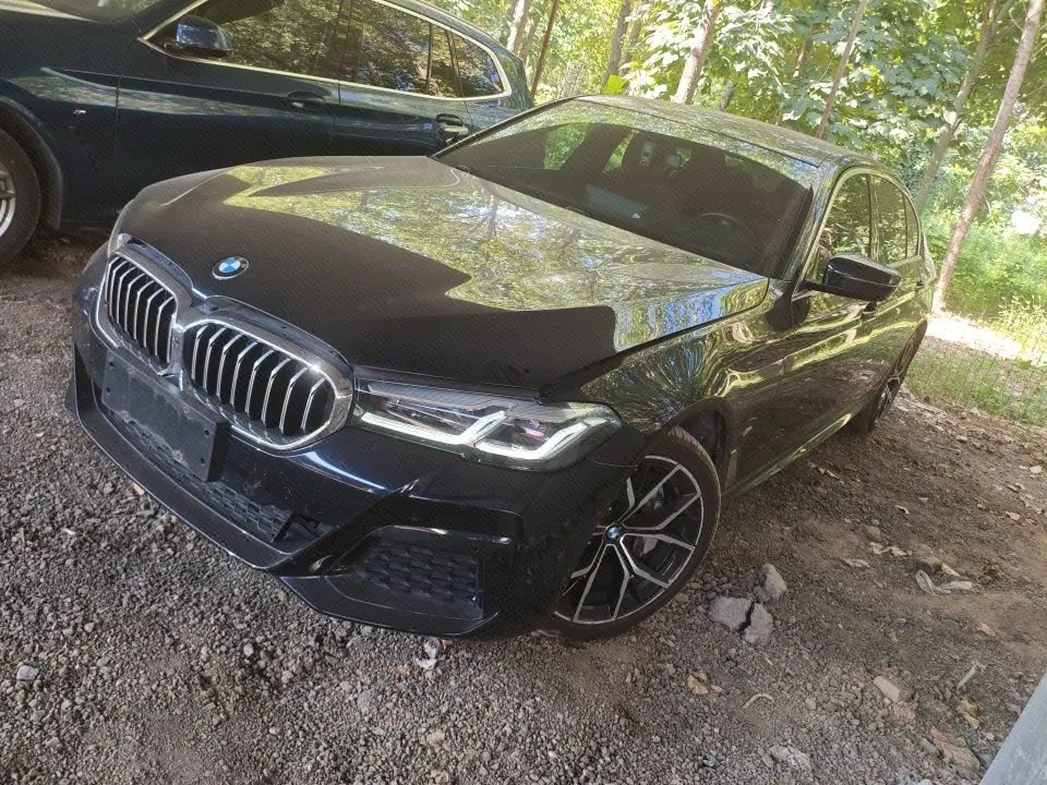 Open image lightbox: BMW 5 Series 2021 530Li 2.0T Exclusive M Sports Suit Automatic Gear