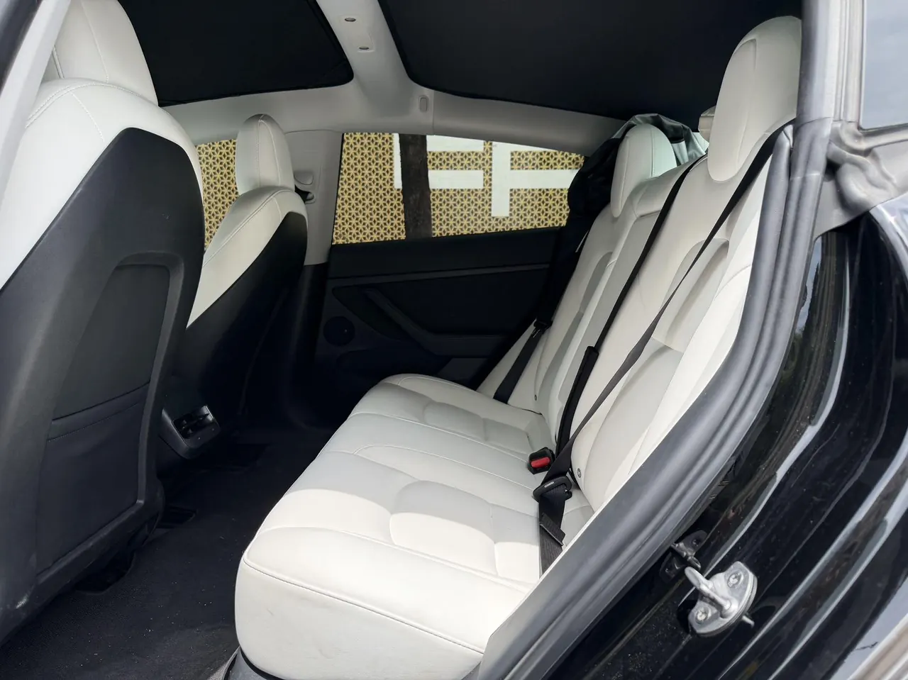 Tesla 2021 Model 3 Standard Endurance Rear Drive Upgraded Automatic Gear 6