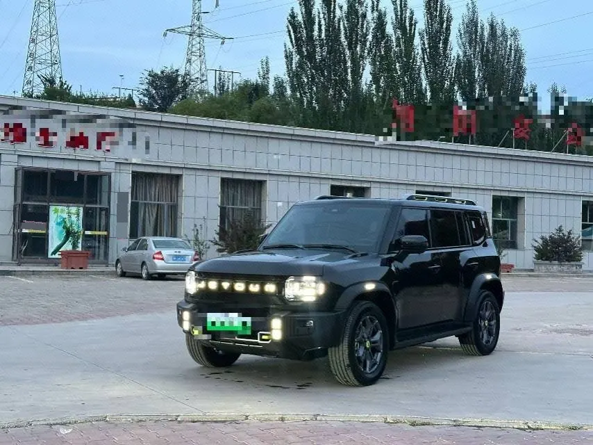 Jetour 2024 ShanHai T2 C- DM 1.5T 129KM Yuan Ye Edition Automatic Gear - View 1