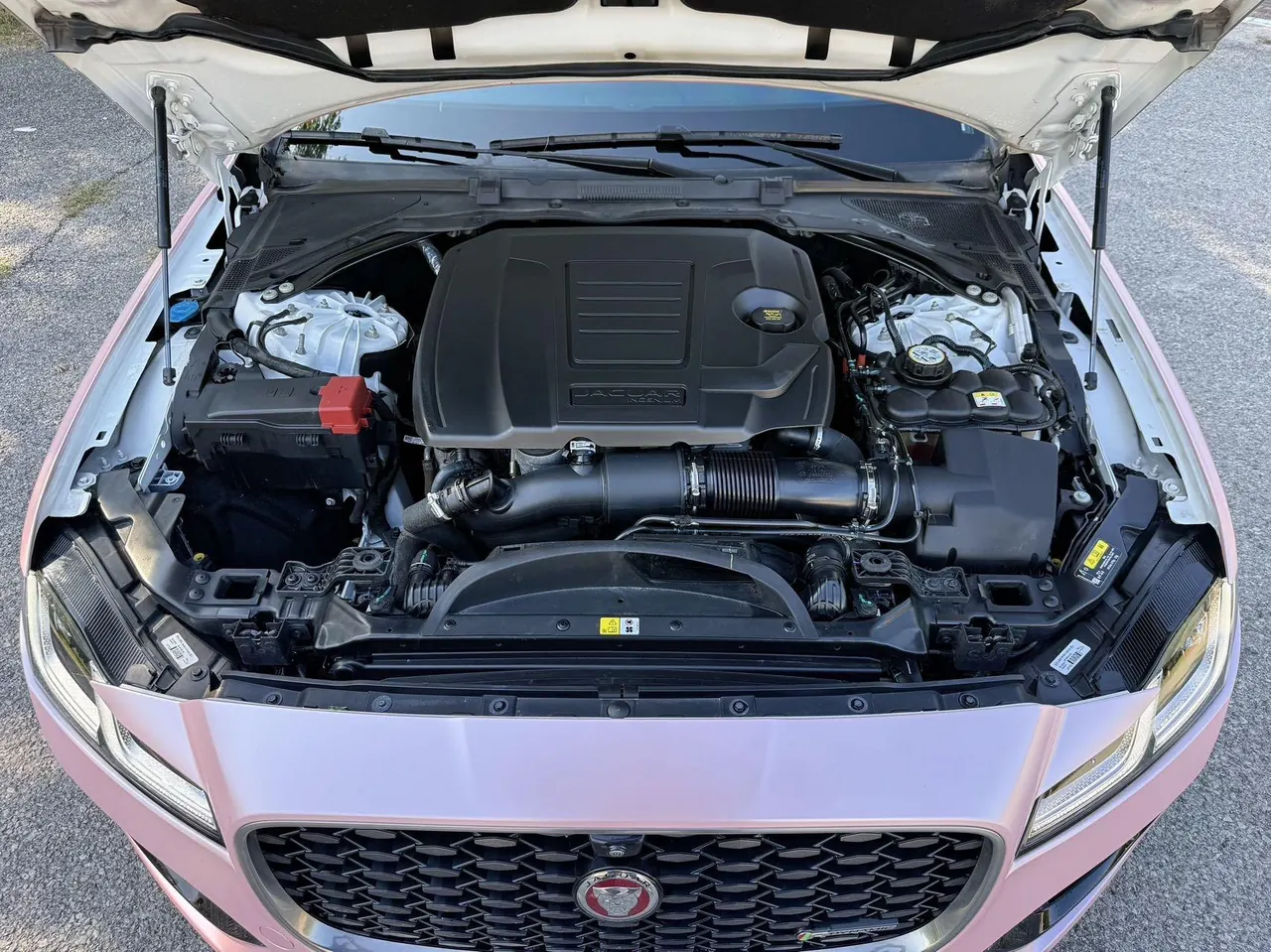 Jaguar 2023 XFL 2.0T P 12500.00g Drive Elite Sports Edition Automatic Gear 8