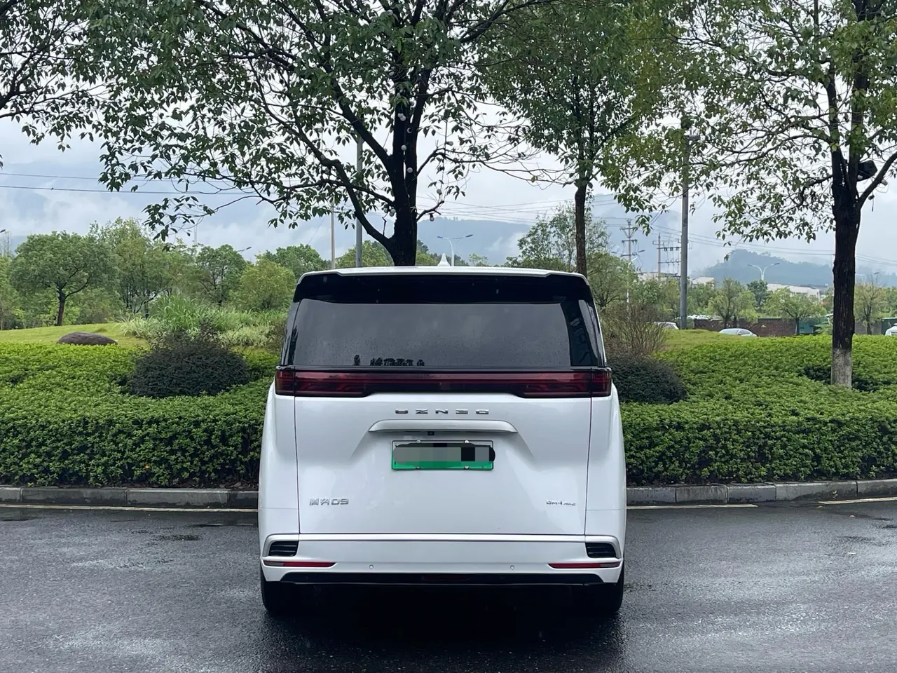 Denza 2022 Denza D9 DM-i 1.5T Stepless 970 Four-wheel Drive Honorable Automatic Gear 8