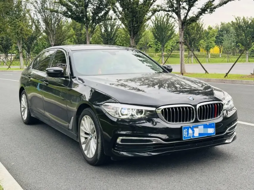 BMW 5 Series 2020 525Li 2.0T Luxury Suit Automatic Gear 3