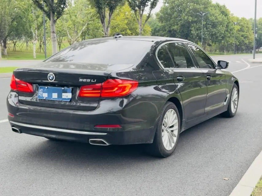 BMW 5 Series 2020 525Li 2.0T Luxury Suit Automatic Gear 7