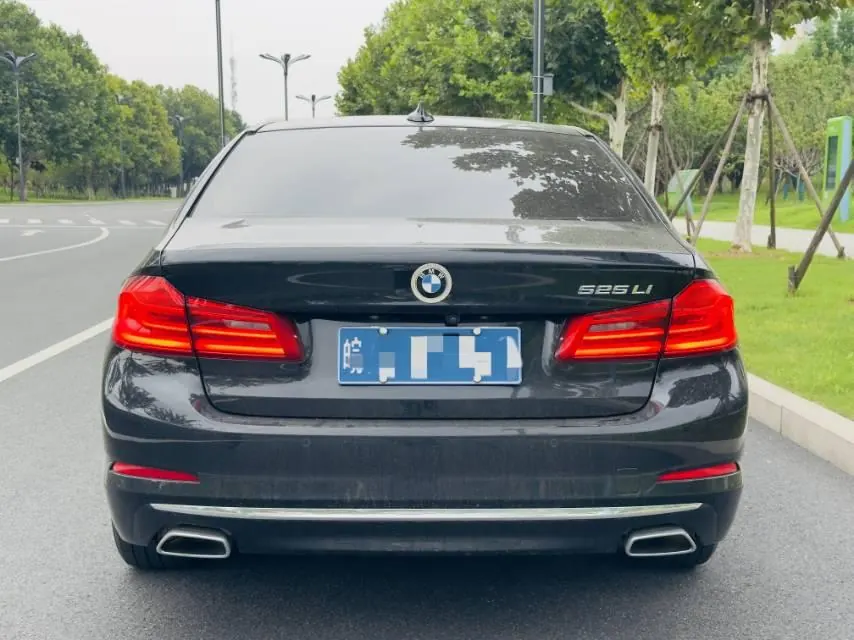 BMW 5 Series 2020 525Li 2.0T Luxury Suit Automatic Gear 8
